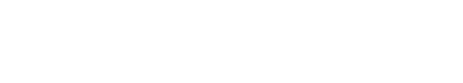 E-Force Informática